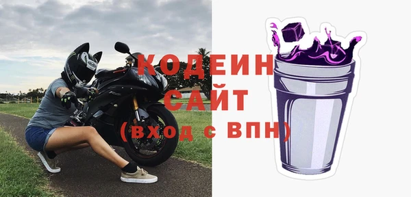 прущие грибы Вяземский