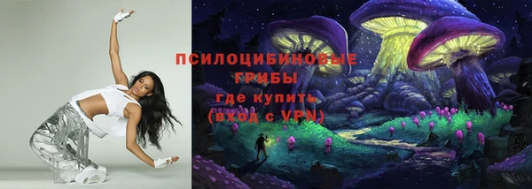 шишки Гусиноозёрск