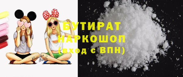 шишки Гусиноозёрск