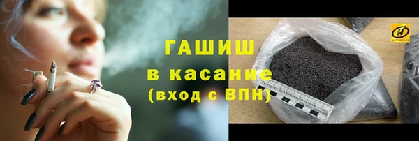 шишки Гусиноозёрск