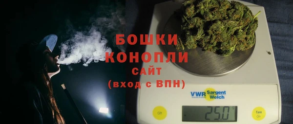 прущие грибы Вяземский