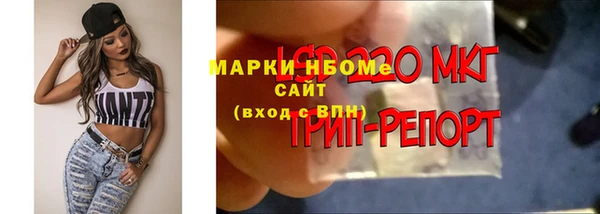прущие грибы Вяземский