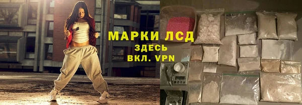 шишки Гусиноозёрск
