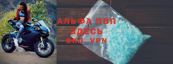 прущие грибы Вяземский