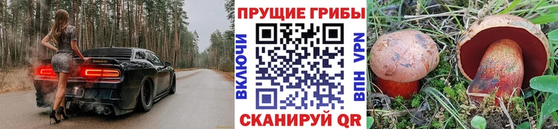 Псилоцибиновые грибы ЛСД  Дальнегорск 